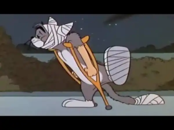 Video: Tom And Jerry English Episodes - The Cat’s Me Ouch